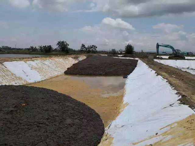 污泥填埋處理 污泥填埋處理