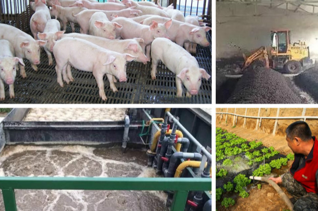 養殖污水處理一體設備多少錢?養殖污水處理方法 養殖污水處理一體設備多少錢?養殖污水處理方法