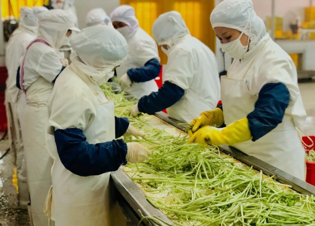 三種食品污水處理設備工藝流程，看看哪種適合您？