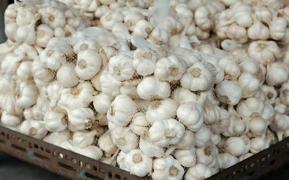 大蒜水|大蒜生產(chǎn)加工廢水污水處理設(shè)備|工藝流程 大蒜水|大蒜生產(chǎn)加工廢水污水處理設(shè)備|工藝流程